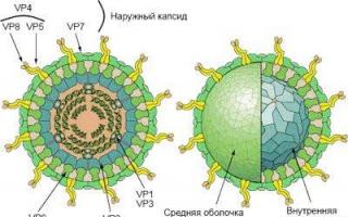 Ротавирус: симптомы у ребенка без температуры, лечение и профилактика
